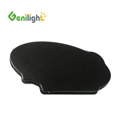 60*30 cm Schermdimensie Elektronisch neonbord met Design Led en SDK-functie